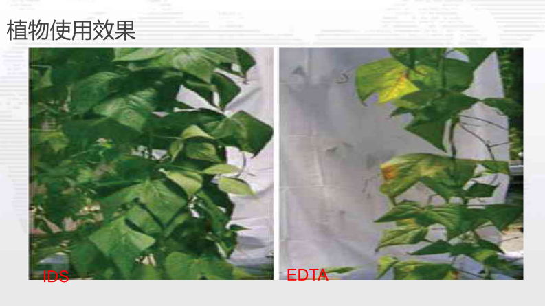 亚氨基二琥珀酸四钠