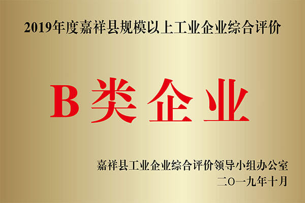 B类企业