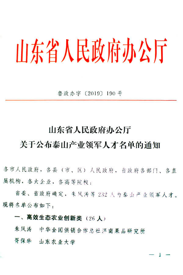 泰山领军人才