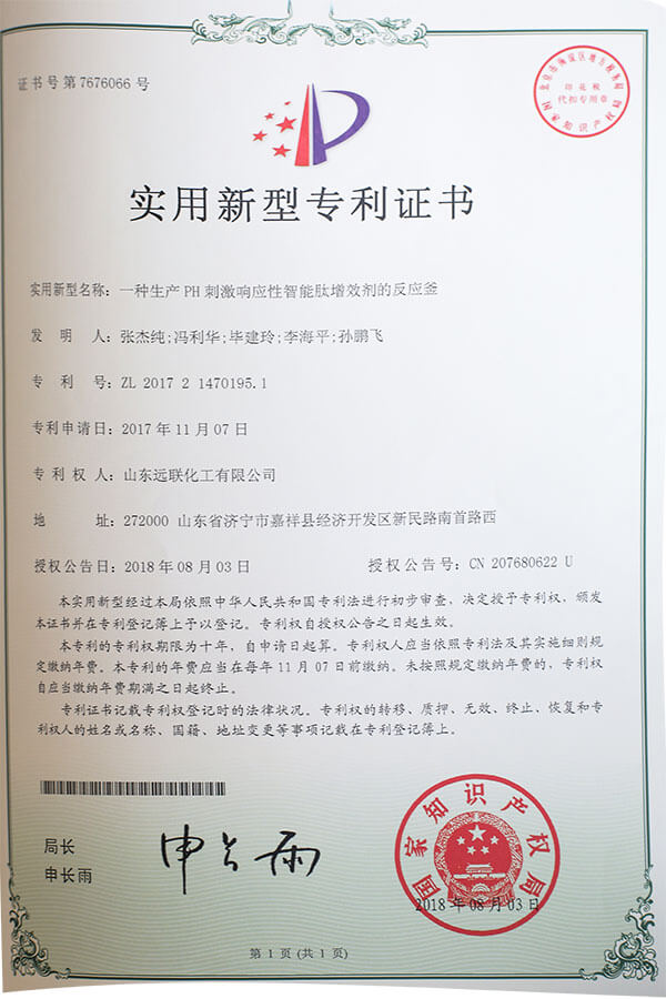 实用新型专利